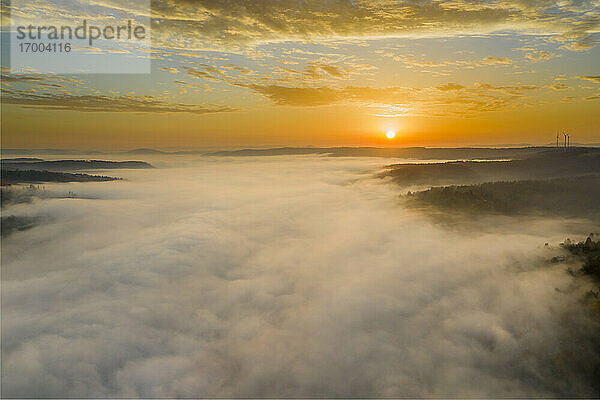 Drohnenansicht eines in dichten Nebel gehüllten Herbstwaldes bei Sonnenaufgang