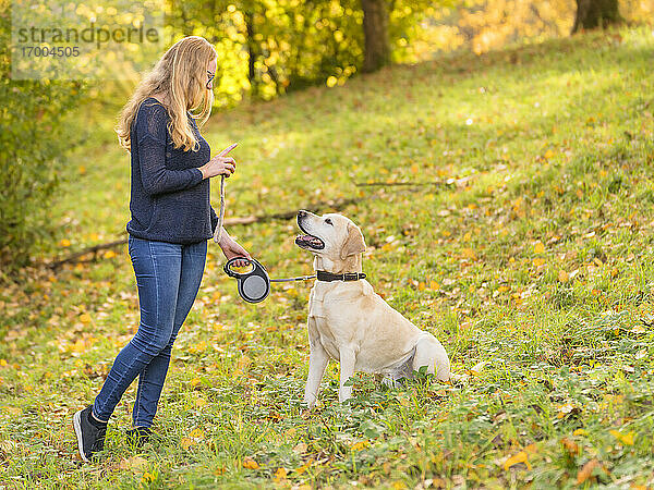 Junge Frau mit Hund im Park im Herbst