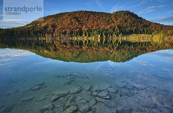 Malerischer Blick auf den Herbstwald  der sich im Walchensee spiegelt