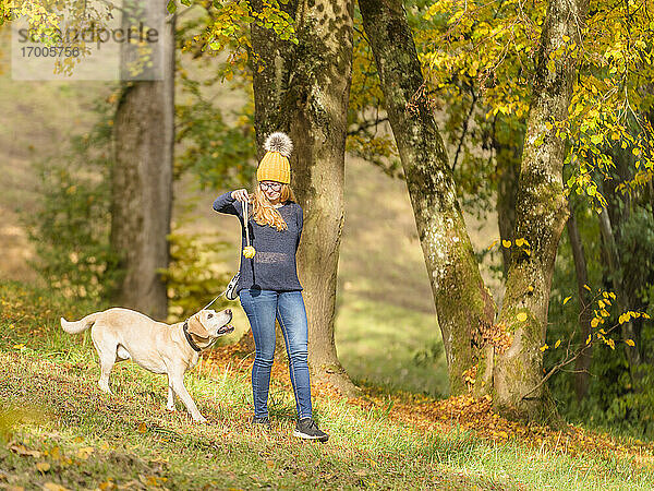 Junge Frau hält Hundespielzeug beim Spielen mit Labrador Retriever im Herbst im Park