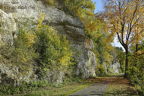 Leerer Wanderweg im Donautal im Herbst