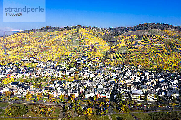 Deutschland  Rheinland-Pfalz  Zeltingen-Rachtig  Stadt und Weinberge im Herbst  Luftbild