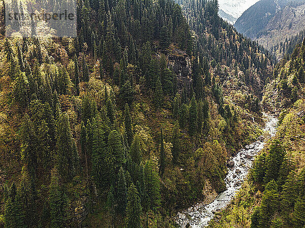 Drohnenansicht eines klaren Baches  der durch ein bewaldetes Tal im Himalaya fließt
