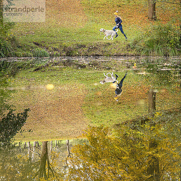 Reflektion von Frau und Hund  die im Herbst im Park laufen