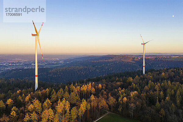 Windkraftanlagen im herbstlichen Wald in der Abenddämmerung