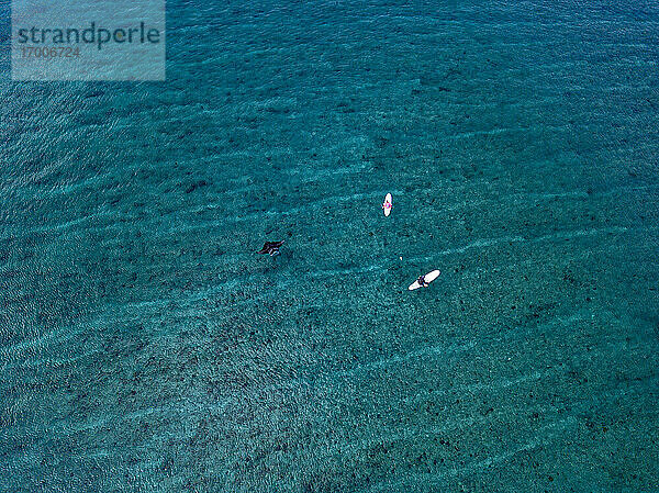 Drohnenansicht von Freunden  die auf Surfbrettern sitzen  während ein Manta-Rochen im Meer auf den Malediven schwimmt