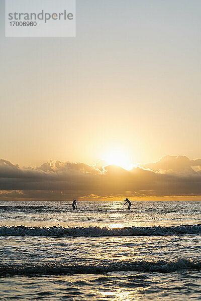 Entfernte Ansicht der Silhouette Freunde Paddleboarding auf dem Meer gegen den Himmel in der Morgendämmerung