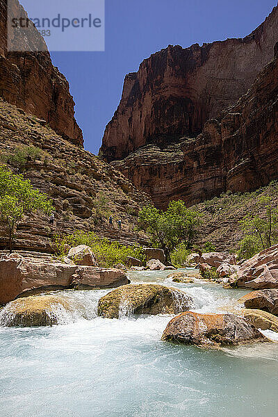 Wanderer im Havasu Creek  Grand Canyon National Park  UNESCO Weltkulturerbe  Arizona  Vereinigte Staaten von Amerika  Nordamerika