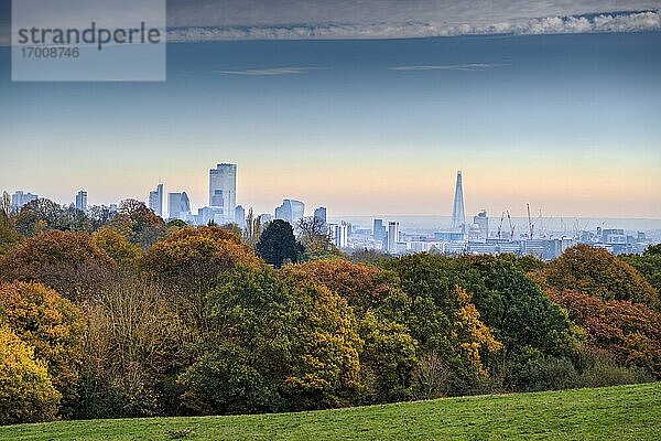 Waldgebiet auf Hampstead Heath im Herbst  und City of London Financial District Skyline  Highgate  London  England  Vereinigtes Königreich  Europa