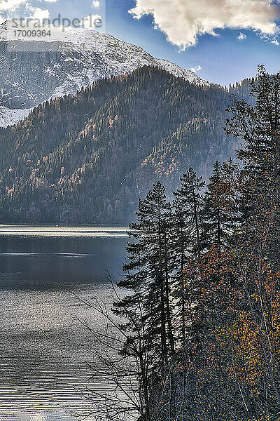 Ritsa-See umgeben von bewaldeten Bergen im Herbst  Abchasien  Georgien