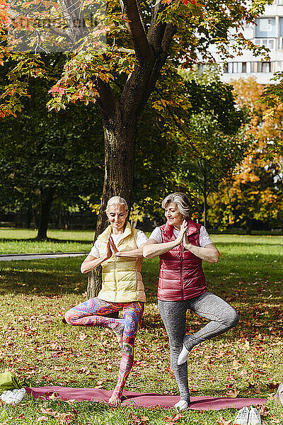 Reife Freundinnen üben gemeinsam Yoga im Herbstpark