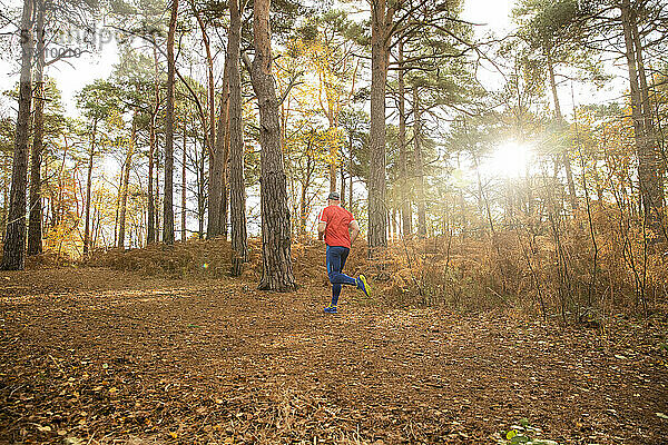 Mann joggt im Herbstwald bei Sonnenaufgang