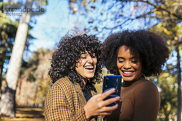 Lächelnde Freunde  die lächeln  während sie ihr Handy im Park benutzen