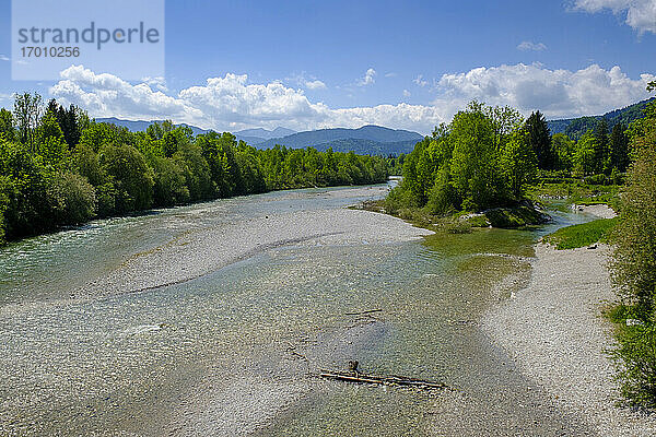 Isar im Frühling