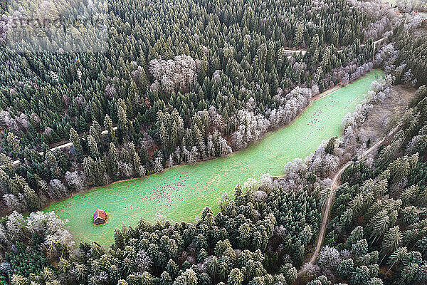 Deutschland  Baden-Württemberg  Drohnenaufnahme einer kleinen Lichtung im Schwäbischen Wald in der Winterdämmerung