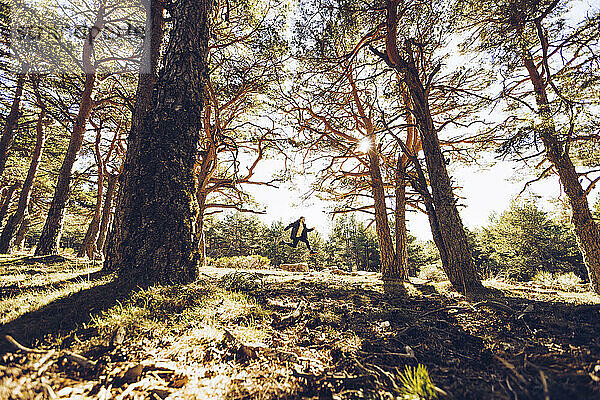 Ansicht aus mittlerer Entfernung eines fröhlichen jungen Mannes  der im Wald auf den Boden springt
