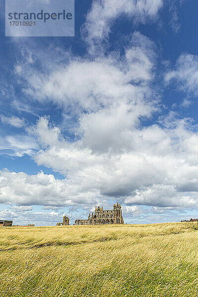 Fernblick auf die Abtei von Whitby bei bewölktem Himmel an einem sonnigen Tag  Yorkshire  UK