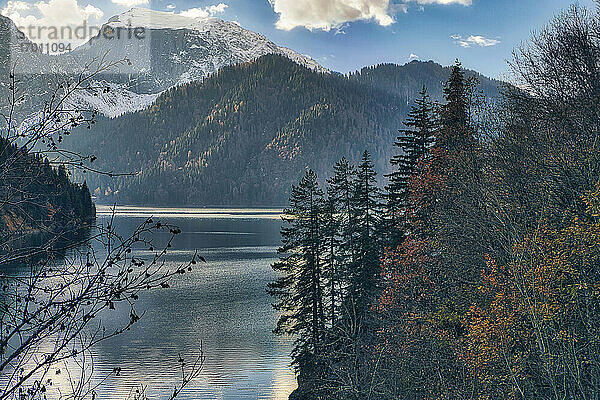 Ritsa-See umgeben von bewaldeten Bergen im Herbst  Abchasien  Georgien