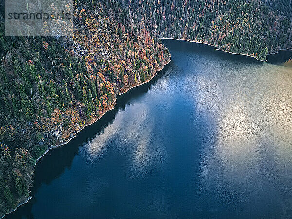 Luftaufnahme des bewaldeten Ufers des Ritsa-Sees im Herbst