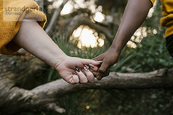 Nahaufnahme einer Frau  die die Hand eines Mannes im Wald hält