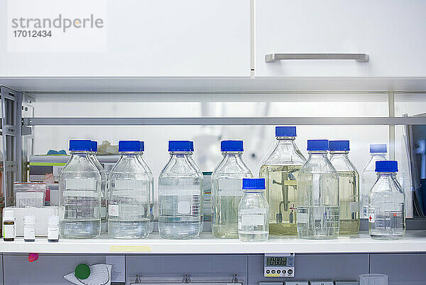 Flaschen mit flüssigen Lösungen auf dem Regal im Labor