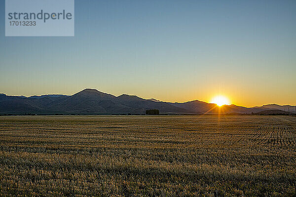USA  Idaho  Bellevue  Landwirtschaftliches Feld bei Sonnenuntergang