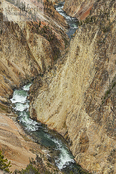 USA  Wyoming  Yellowstone National Park  Yellowstone River fließt durch den Grand Canyon im Yellowstone National Park