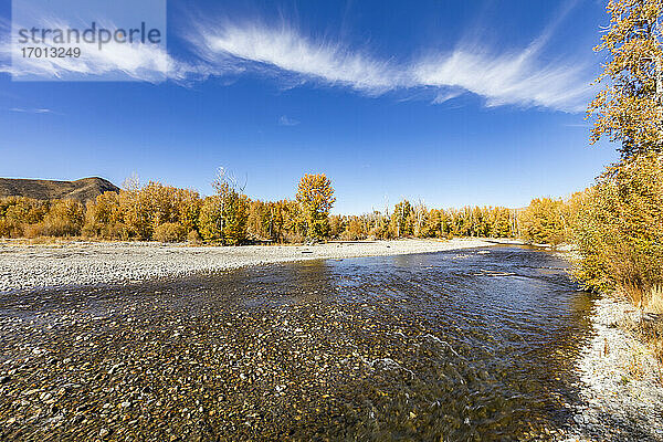 USA  Idaho  Bellevue  Landschaft mit Big Wood River im Herbst