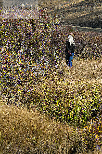 USA  Idaho  Stanley  Senior Frau mit langen weißen Haaren zu Fuß durch Bach unter Gras in nicht städtischen Landschaft
