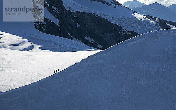 Schweiz  Monte Rosa  Kletterer auf Bergrücken am Monte Rosa Massiv