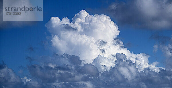 Weiße Kumuluswolken am blauen Himmel