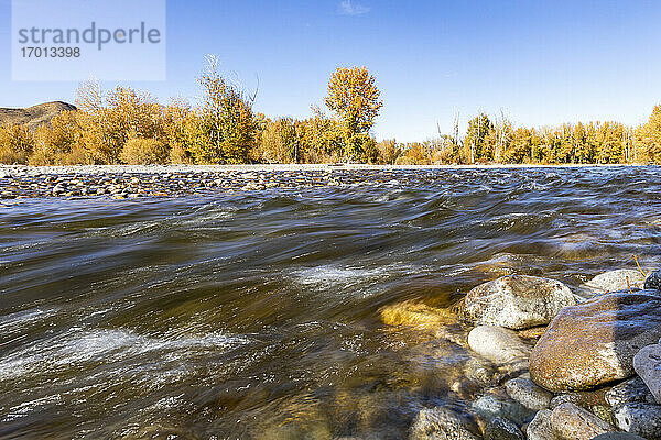 USA  Idaho  Bellevue  Bewegungsunscharfe Strömung des Big Wood River im Herbst