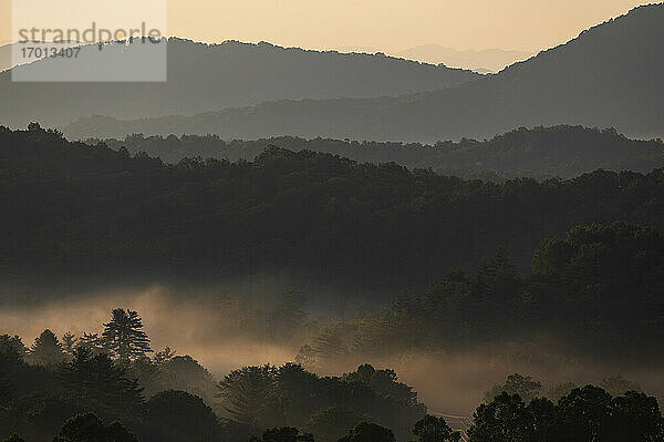 USA  Georgia  Blue Ridge Mountains und Bäume mit Nebel bei Sonnenaufgang bedeckt