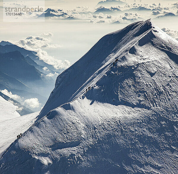 Schweiz  Monte Rosa  Luftaufnahme des Bergrückens im Monte-Rosa-Massiv