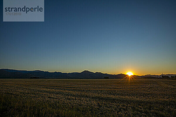 USA  Idaho  Bellevue  Landwirtschaftliches Feld bei Sonnenuntergang