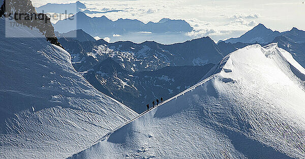 Schweiz  Monte Rosa  Luftaufnahme des Bergrückens im Monte-Rosa-Massiv