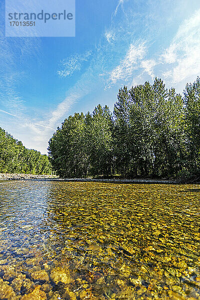 USA  Idaho  Bellevue  Fluss und Bäume am sonnigen Tag