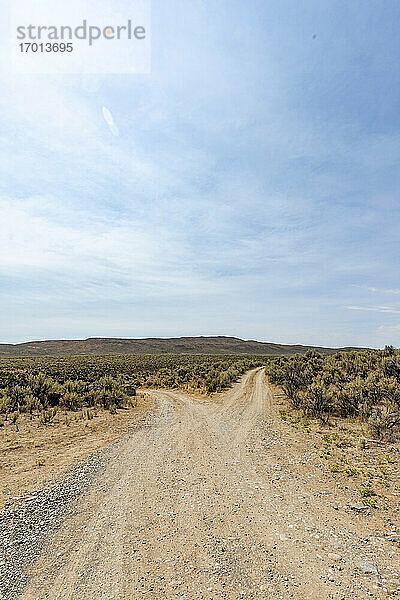 USA  Idaho  Bellevue  Verzweigter Feldweg in der Wüste