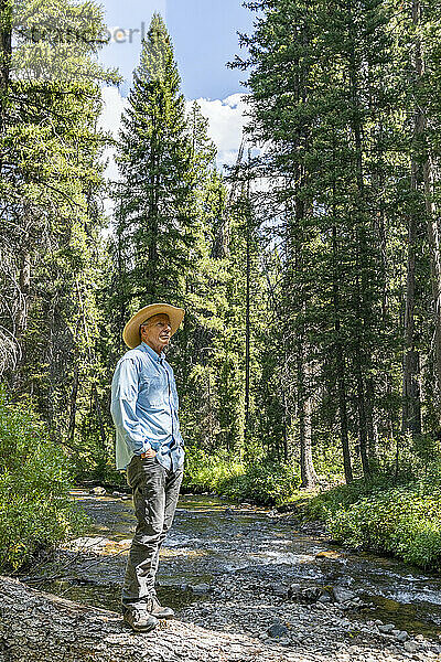 USA  Idaho  Sun Valley  Mann steht auf umgestürztem Baum über Fluss im Wald