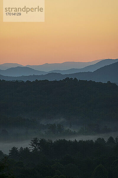 USA  Georgia  Blue Ridge Mountains und Wald bedeckt mit Nebel bei Sonnenaufgang