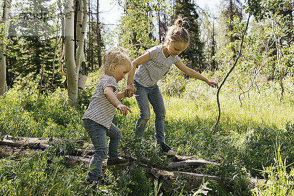 USA  Utah  Uinta National Park  Zwei Schwestern (2-3  6-7) gehen auf Baumstamm im Wald