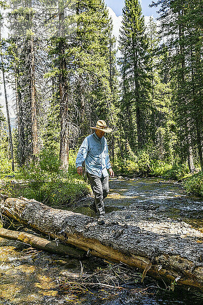 USA  Idaho  Sun Valley  Mann überquert Fluss im Wald