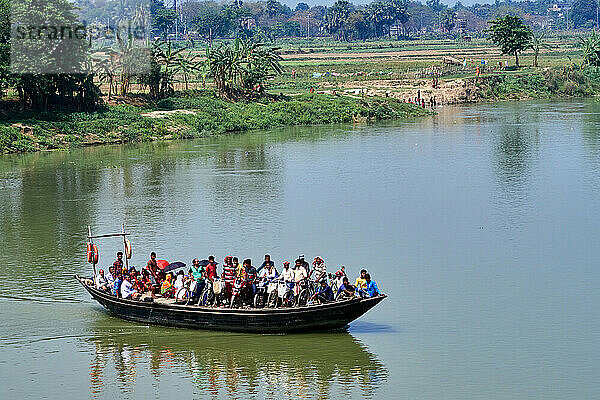 Indien  Westbengalen  Gebiet Nabadwip. Fähren  die auf einem mit einem Bambusboden bedeckten Boot ohne Schutzbrüstung ausgestattet sind  sind die einzige Möglichkeit  den Fluss zu überqueren und das andere Ufer zu erreichen.