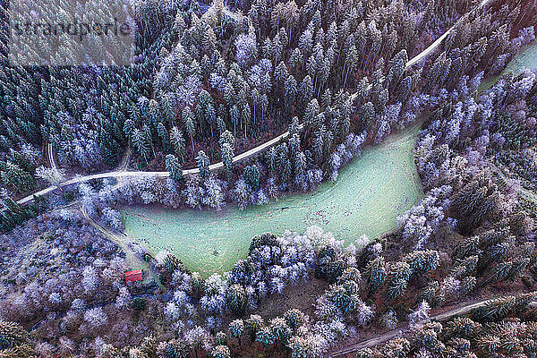 Deutschland  Baden-Württemberg  Drohnenaufnahme einer kleinen Lichtung im Schwäbischen Wald in der Winterdämmerung