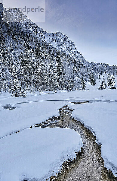 Bach  der durch schneebedecktes Land fließt