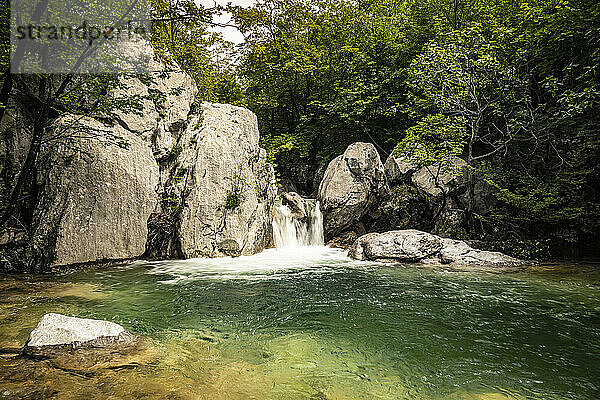 Wasserfall und Bach im Wald