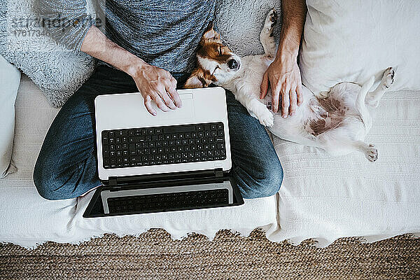 Mann arbeitet am Laptop und spielt mit seinem Hund  der zu Hause auf dem Sofa sitzt