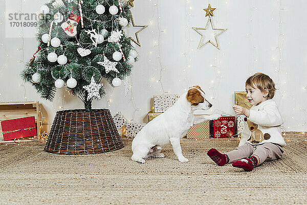 Baby-Mädchen spielt mit Welpen  während sie auf dem Teppich zu Hause während Weihnachten sitzen