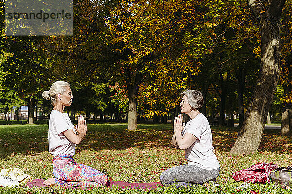 Reife Freundinnen kniend im Herbst Park  Yoga üben