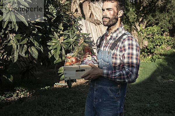 Junger männlicher Landwirt mit Gemüsekiste  der an einem sonnigen Tag auf einem Bauernhof nachdenkt
